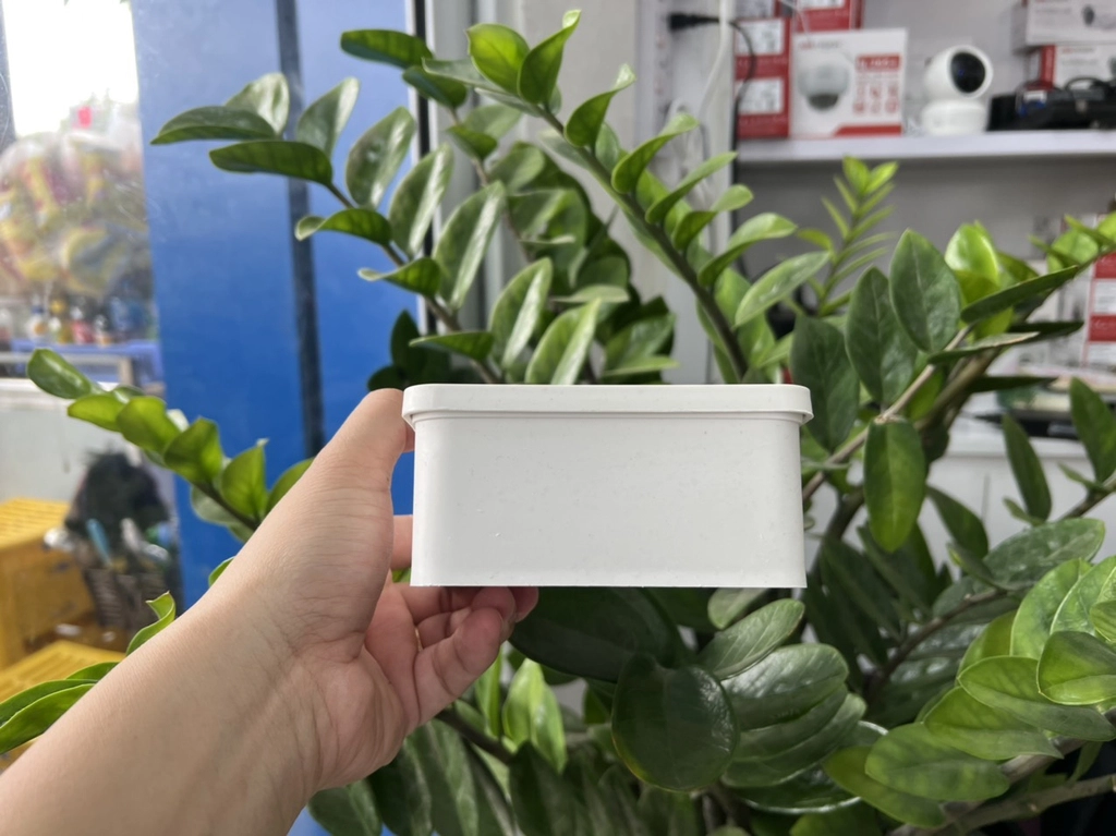 e5a0b800d90d07535e1c3